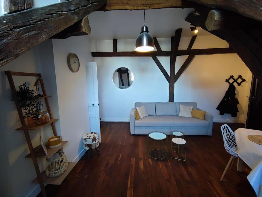 Magnifique Appartement Beaux Arts Tours Dış mekan fotoğraf