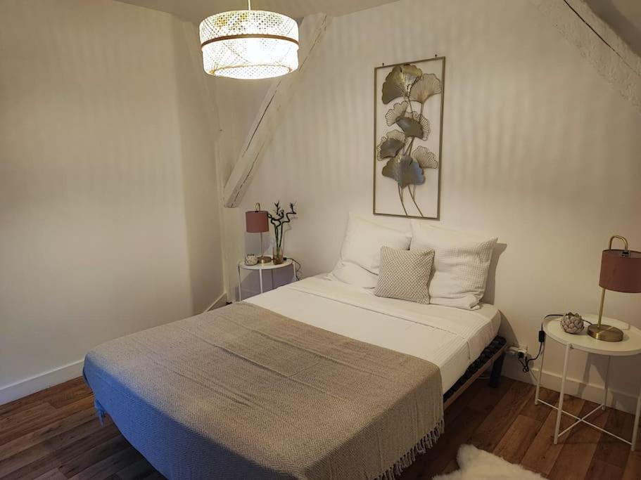 Magnifique Appartement Beaux Arts Tours Dış mekan fotoğraf