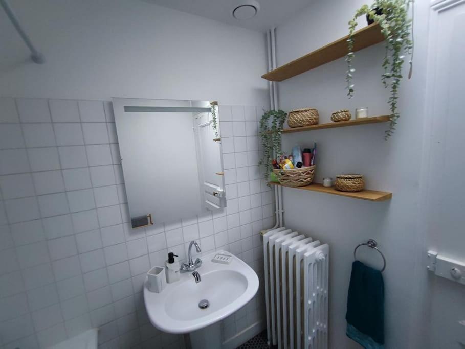 Magnifique Appartement Beaux Arts Tours Dış mekan fotoğraf