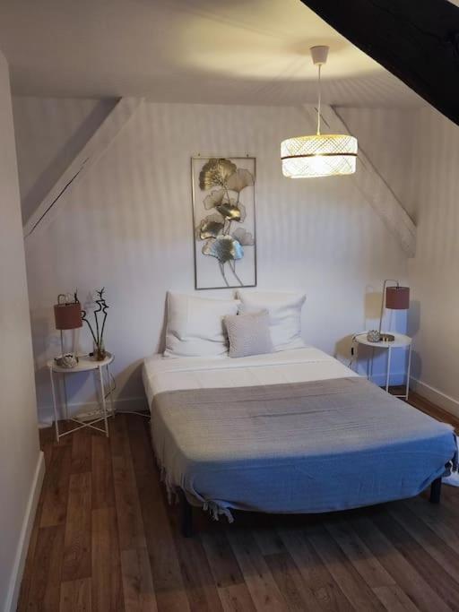Magnifique Appartement Beaux Arts Tours Dış mekan fotoğraf