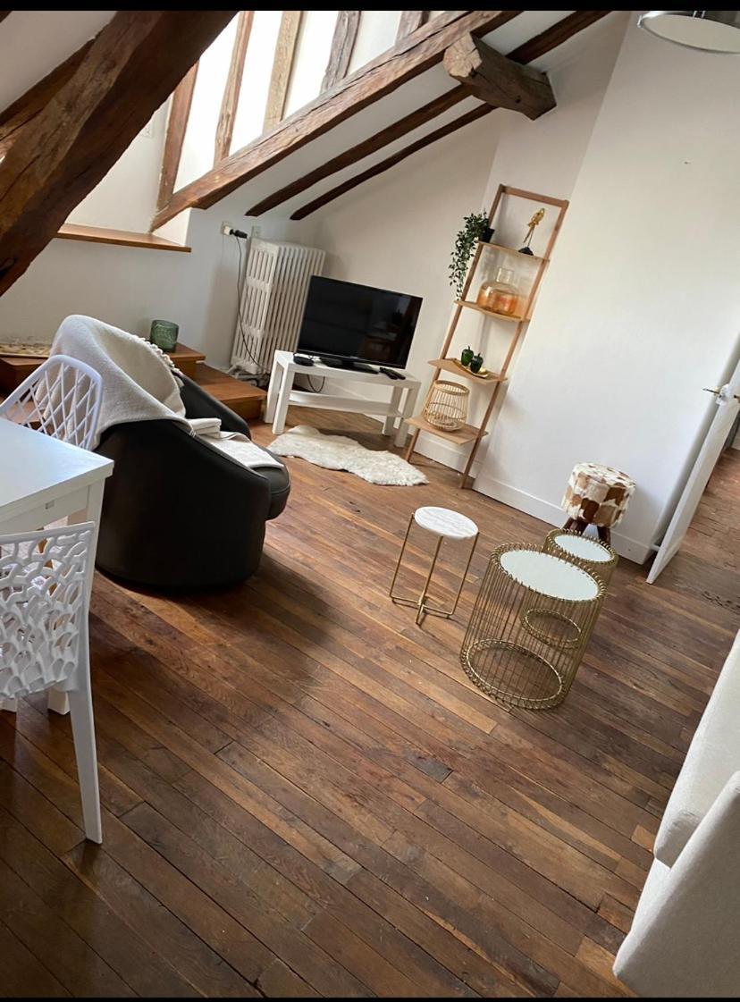 Magnifique Appartement Beaux Arts Tours Dış mekan fotoğraf
