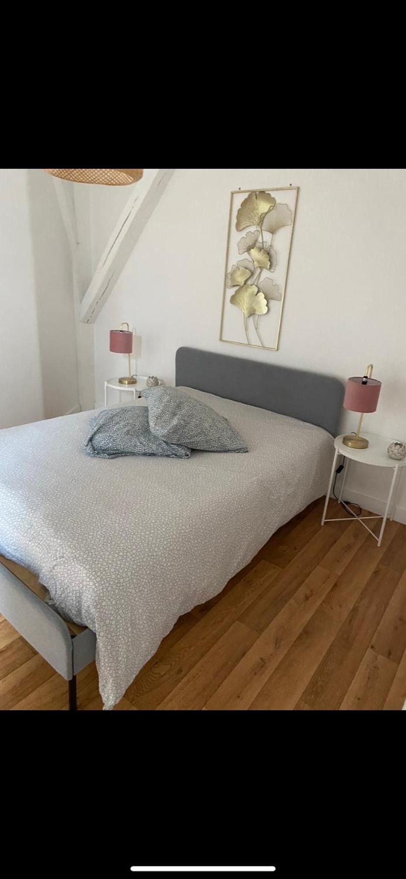 Magnifique Appartement Beaux Arts Tours Dış mekan fotoğraf